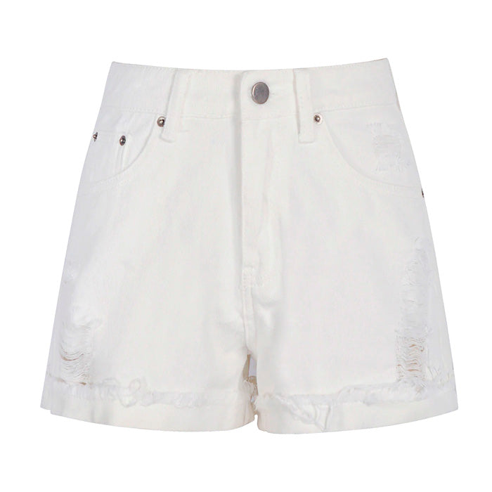 Aesthetic Outlines Embroidery Shorts - Vedlit