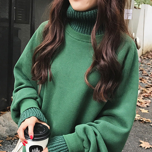 Basic High Neck Sweatshirt - Vedlit