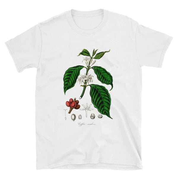 Oversized Botanical Tee - Vedlit