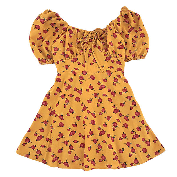 Secret Garden Mini Dress - Vedlit