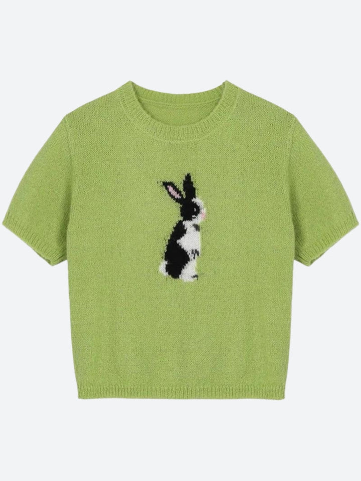 Soft Girl Rabbit Knitted Top - Vedlit